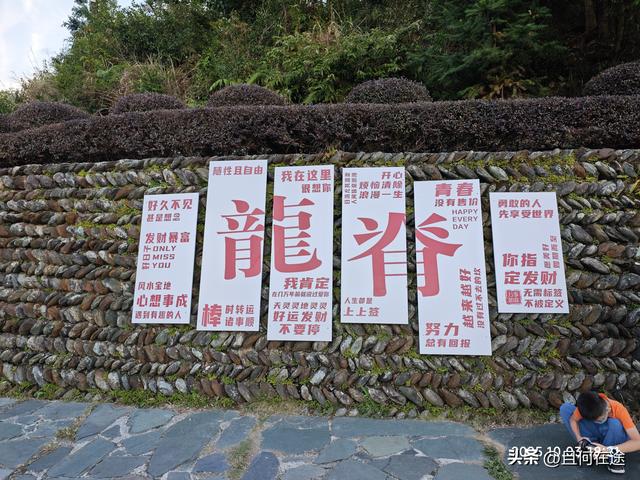 国庆期的龙脊梯田，即使是用老人机，也能拍出最动人的秋景与秋色