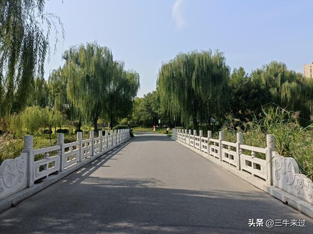 无为在歧路，国庆游淄博1