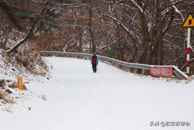 随手拍：打卡雪后的烟台“竹林路”