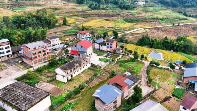 乡间行记：驱车穿行插腊村到岳溪镇，在弯弯山路中找回遗忘的时光