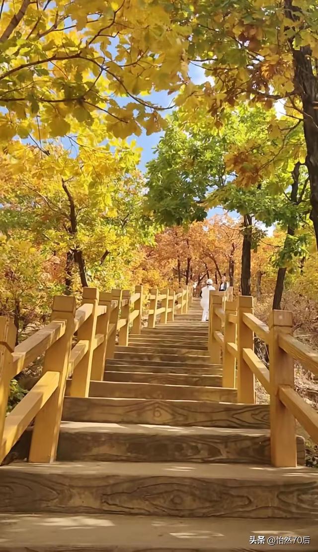 准备了一肚子的词没用上，逃离，硬座124元：奔赴一场生命的湿润