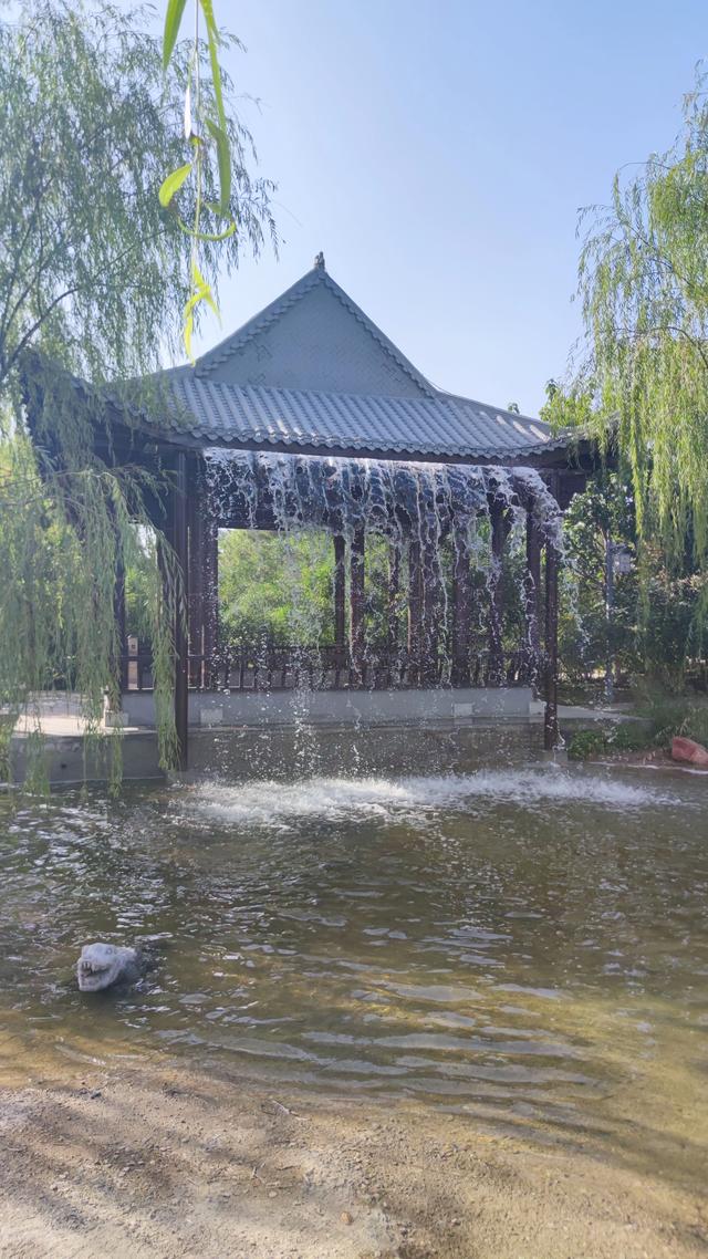 银川花博园真的好大，好大，是我见过的最大的花园