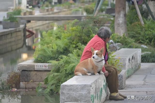 广东富可敌市的千亿镇，藏着一座不容错过的中国历史文化名村！
