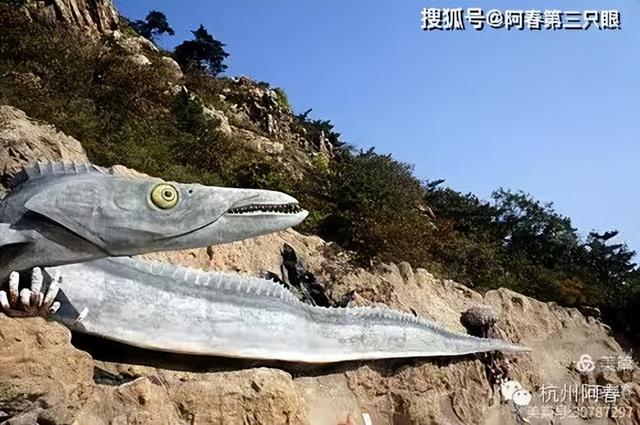 大连海之韵山体壁雕