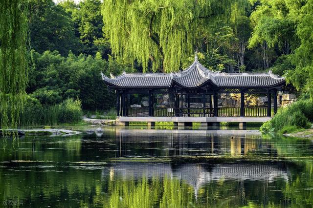 从北到南 “每一片叶子都是一朵鲜花”