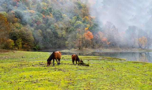 四川石棉县拖乌山：初冬时节的多彩绝唱