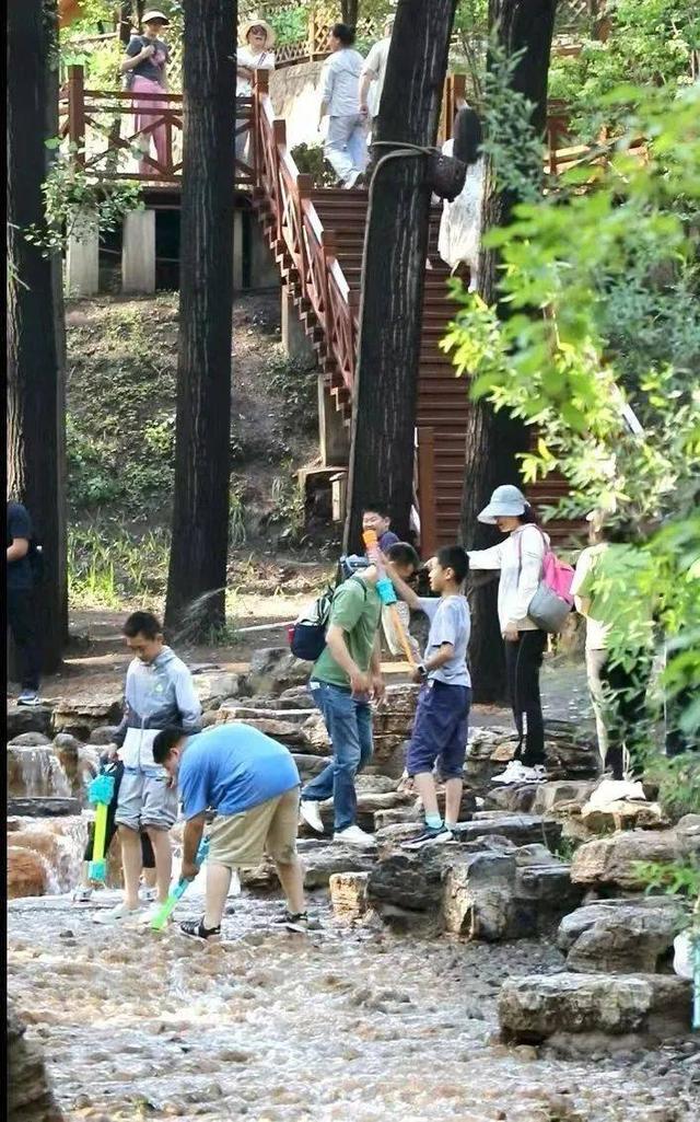 以初心净碧水 蒙山用行动守护每一份遇见