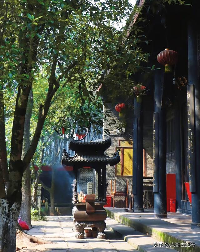 成都新津被严重低估的徒步路线，尤以象鼻子山更为爆红！