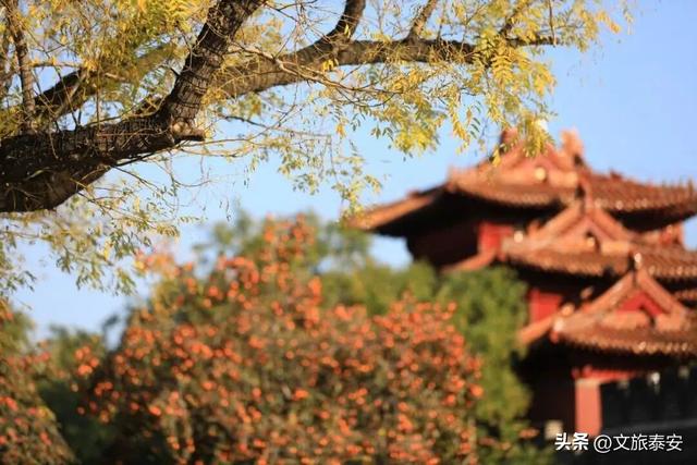 千万别在秋天来泰安，不然真的很难戒断