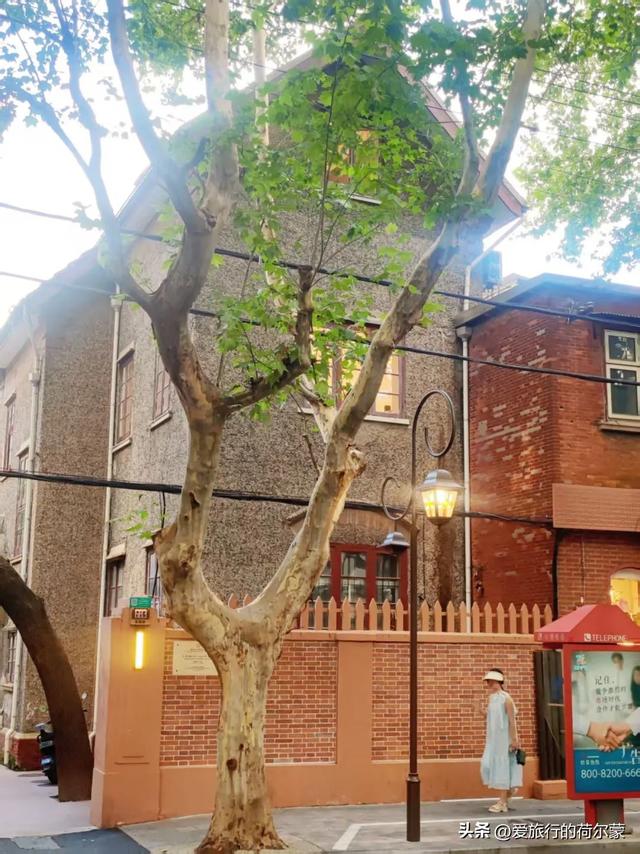 在上海终于看到了！一条有着百年历史的巨鹿路~