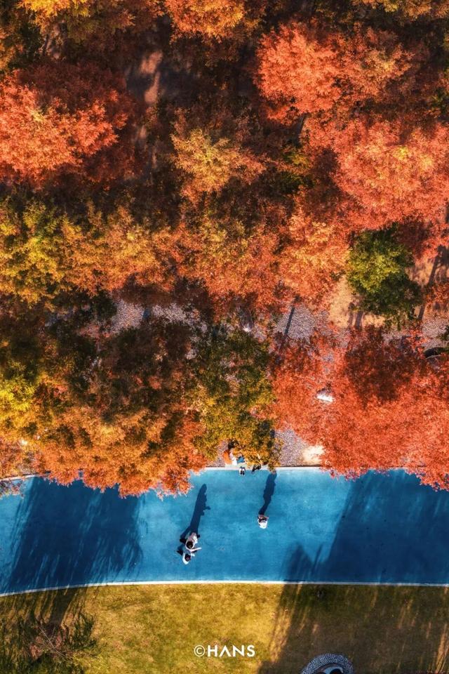 来汉口 逛江汉 | 淮海路，久仰