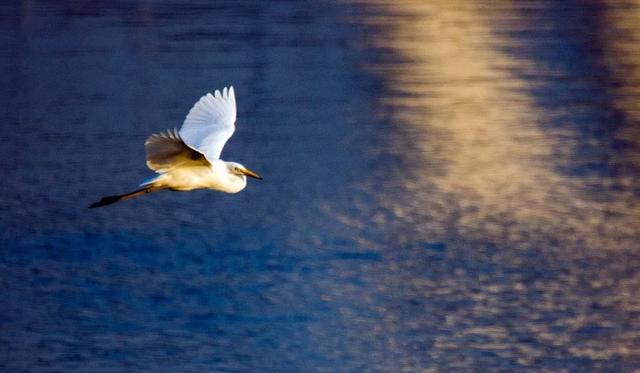 全国优秀！被国家认证的2处绝色水景，究竟有多美！