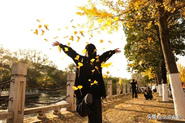 片片落叶，“拼”出一城风景