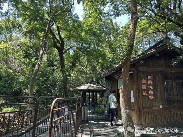 杭州印象·灵隐飞来峰