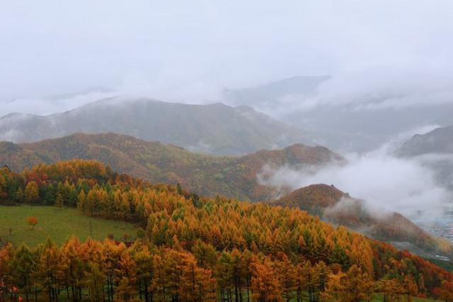问道吉线G331——平岗天然牧场秋日盛景引客来