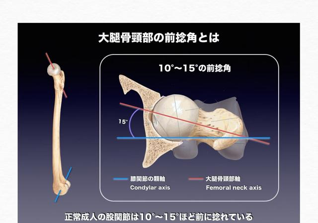 德川家定首任妻子兼皇室公主的天亲院遗骨发掘