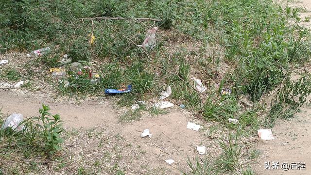 到青华山看千年卧佛，一路上垃圾随处可见