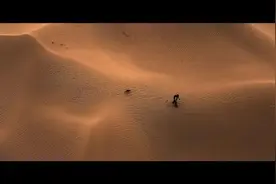 大大的世界，小小的我图片