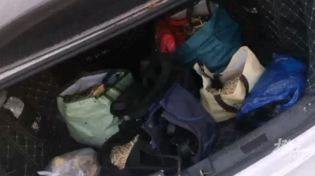 800元能买一斤多，白虫草不是冬虫夏草，有人沿街兜售被查