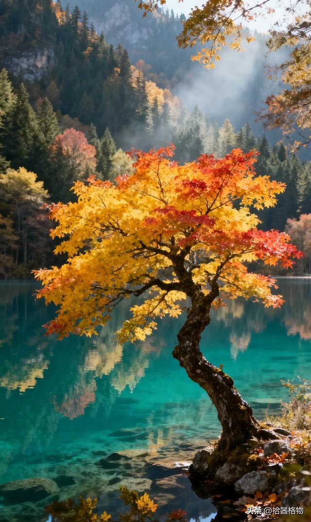 一湖秋水映长天,满眼秋色入画来