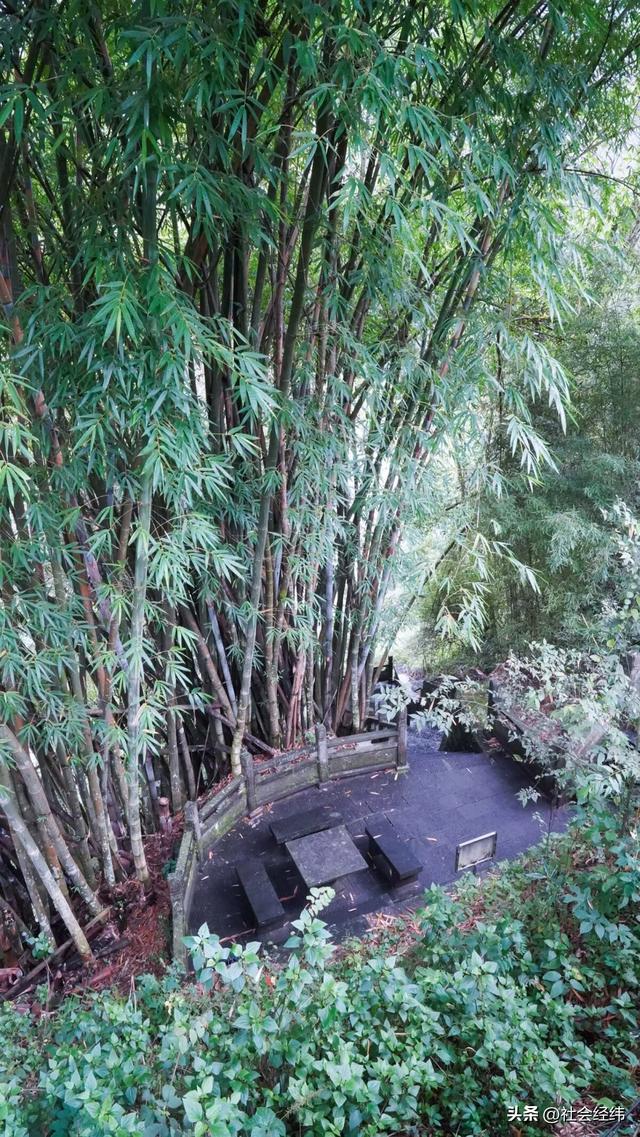 每日一景|中国唯一城市瀑布·云南腾冲叠水河瀑布