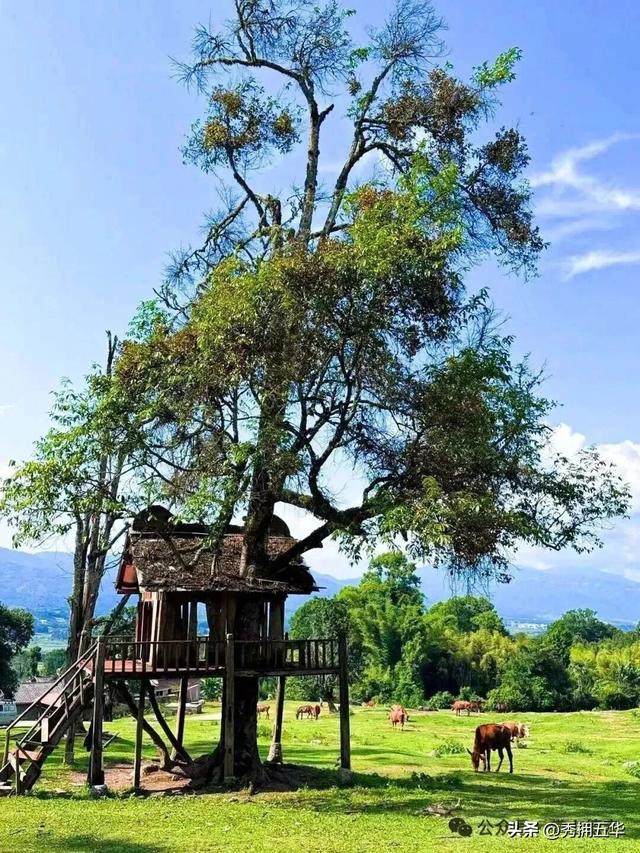 旅居云南｜德宏，是你安放身心、享受生活的最佳过冬地！