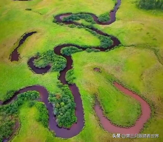 走进国际湿地奇观 探寻南瓮河秋之秘语