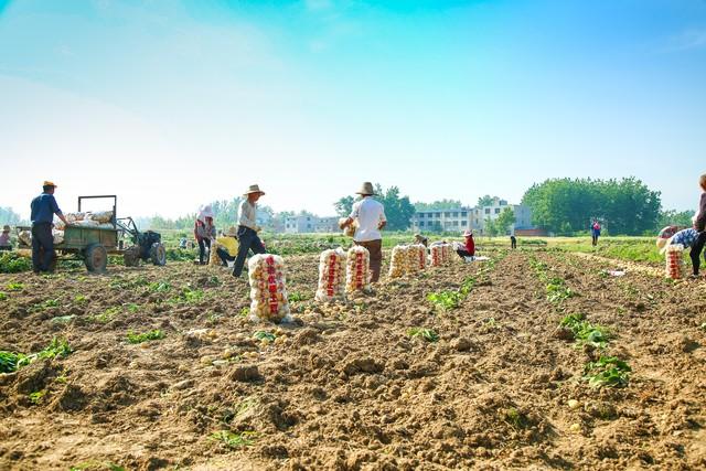 新来女秘书业务不熟，我手把手教她，她身上的香水味让我有点分心