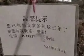 南方居然会扫错墓？祖坟这么难找吗？是时候利用点高科技手段了！图片