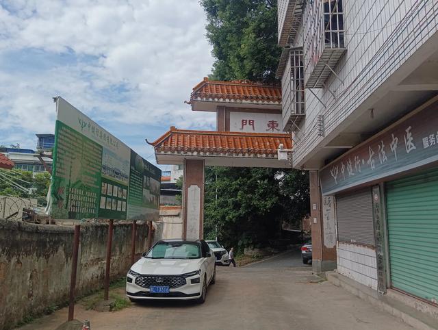 一睹金鸡岭，十年不看山？