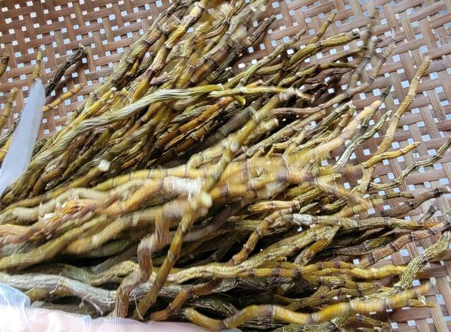 土楼拾光①:福建土楼景区——田螺坑片区（2025.2.9 漳州·南靖）