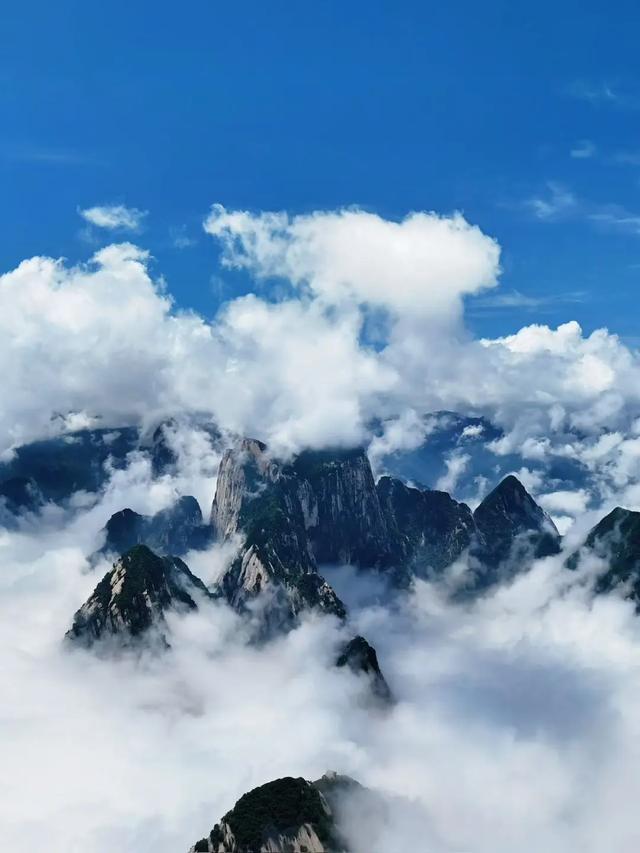 惊叹！！华山云海“开挂式”刷屏！！！