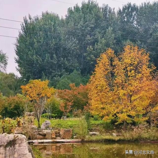 秋日，不去一趟石家庄植物园，会留遗憾