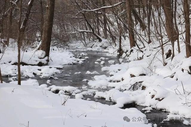 告别金秋，邂逅龙湾初冬！赏雪、观雾凇攻略，这两处景区别错过~