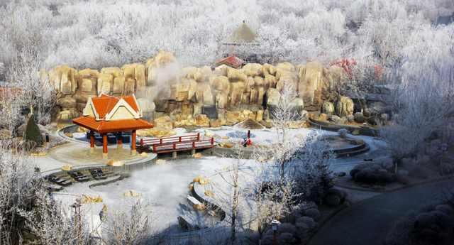 五秩风华绘盛景 文旅融合启新程