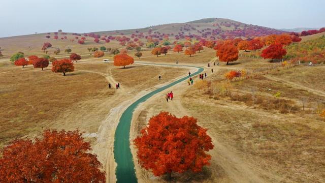 我是烟台人，去了一趟内蒙古后，忍不住想和大家分享我的内蒙印象