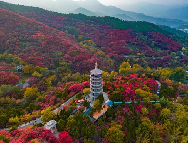 周末出发！济南这条自驾线路串起古建、名泉、红叶，美极了！
