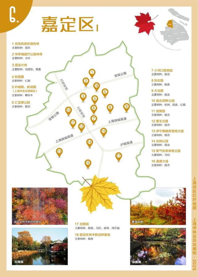 解锁2025上海郊区红叶地图，一起走进申城的五彩世界！
