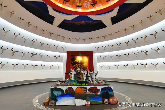 拉萨市：参观西藏牦牛博物馆