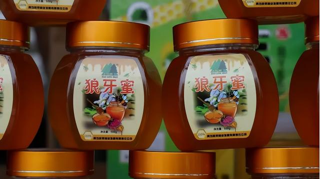 五一走进两当，追寻红色记忆