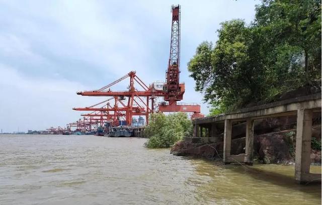 武汉的浦东新区--阳逻历史由来和发展历程探轶 人文新洲