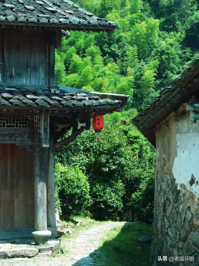 68 个海岛私藏浙江最南,人均 100 元住民宿,度假天花板就在这!
