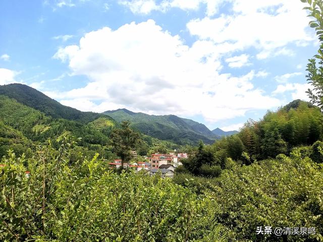 溪山环处的旧影与新绿共长——记柏树下村