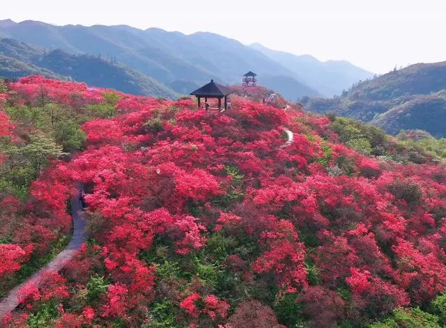 长沙浏阳市一日游旅游攻略：推荐十大必去景点与好玩的地方