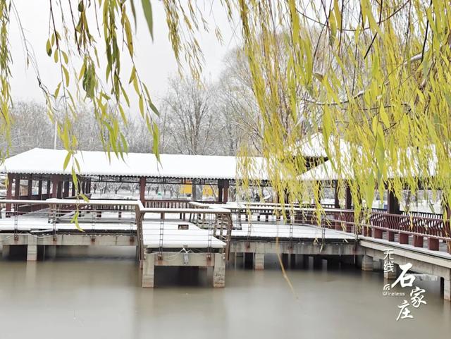收好这份石家庄“雪景打卡地图”！走起→