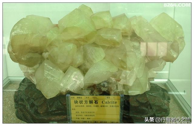 山东行游影记（31）—平邑天宇自然博物馆（六）