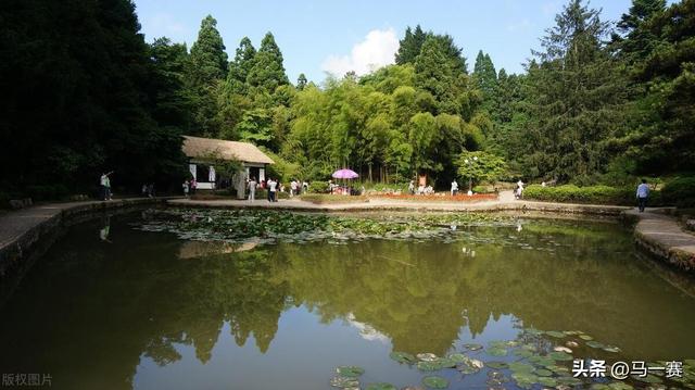 古诗《大林寺桃花》（白居易）赏析