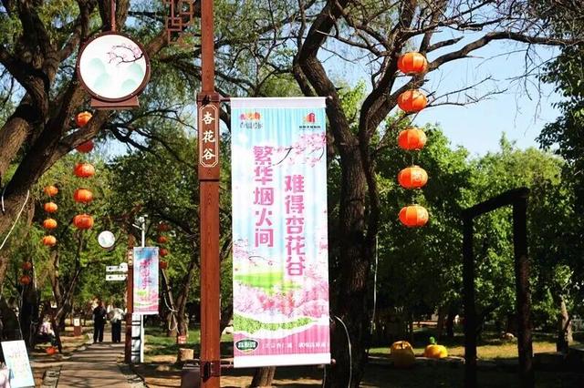 休闲漫游 探索回民区：开学季邂逅青城之美
