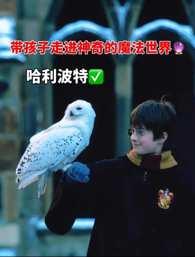 魔法界的超级明星：哈利·波特的逆袭人生 笑到最后的魔法传奇