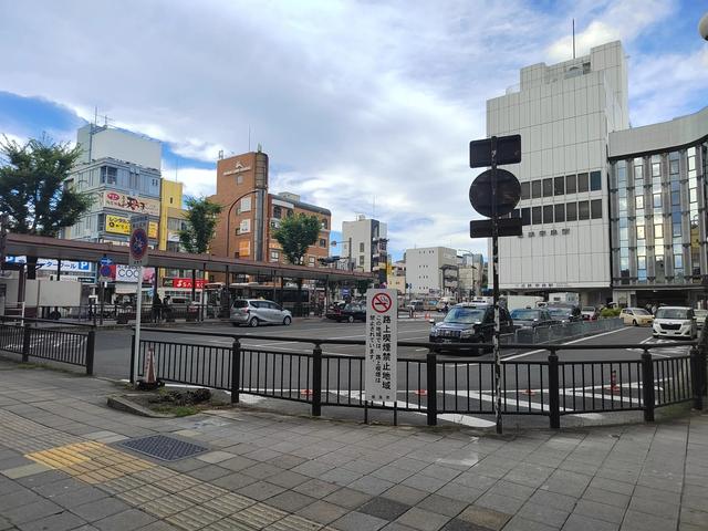 因为鹿，我爱上了奈良